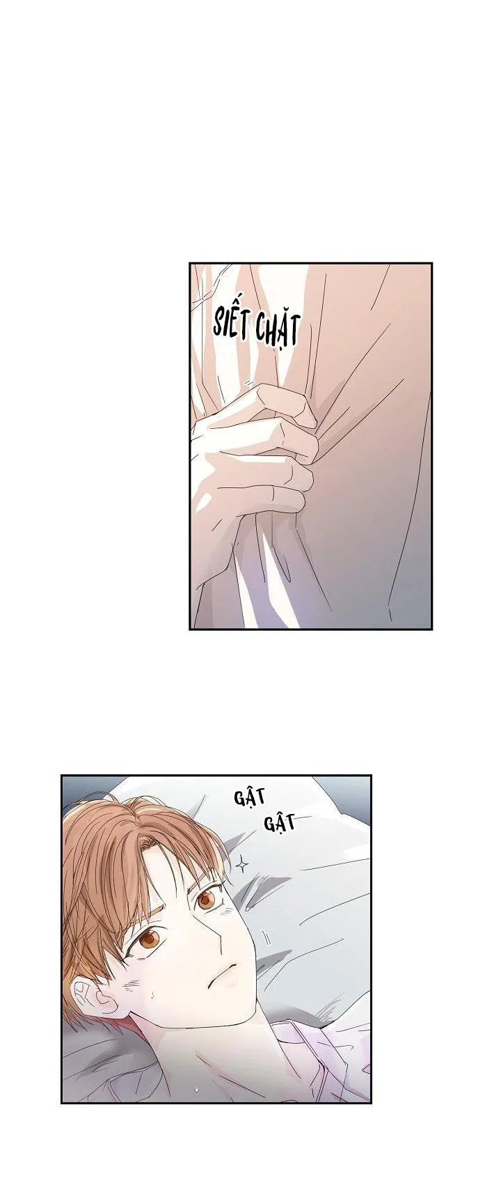 MÁU CỦA TÔI KHÔNG ĐƯỢC ĐÂU Chapter 12 Trang 12