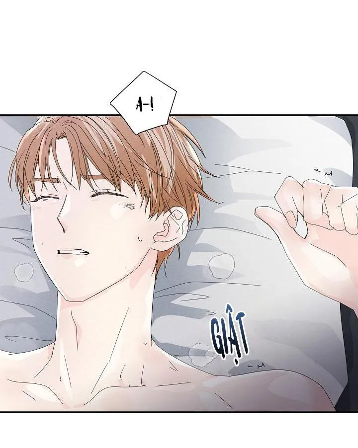 MÁU CỦA TÔI KHÔNG ĐƯỢC ĐÂU Chapter 12 Trang 19