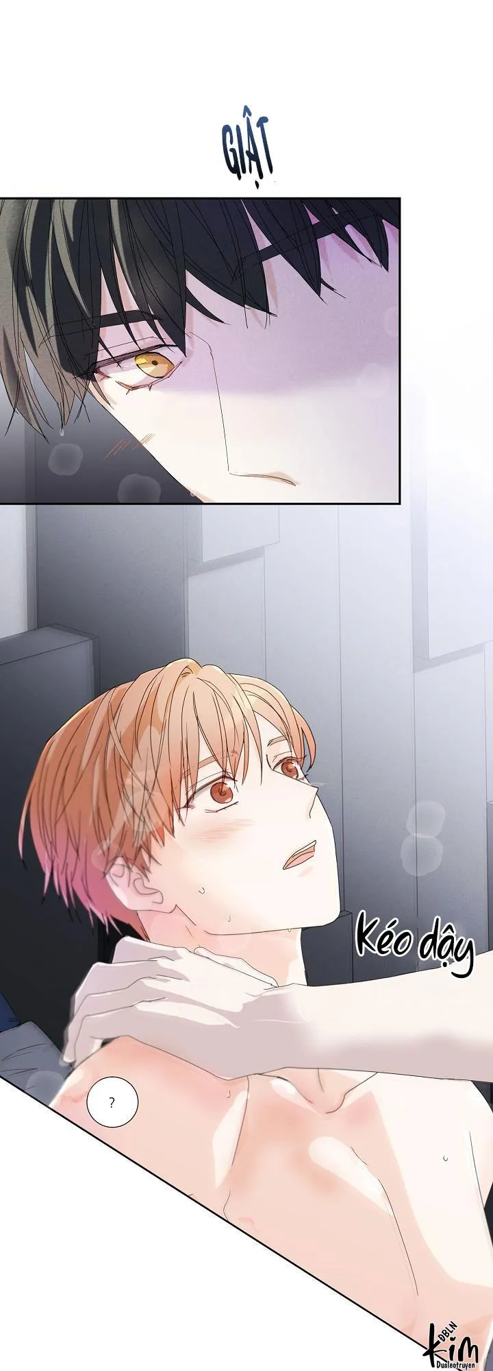 MÁU CỦA TÔI KHÔNG ĐƯỢC ĐÂU Chapter 12 Trang 20