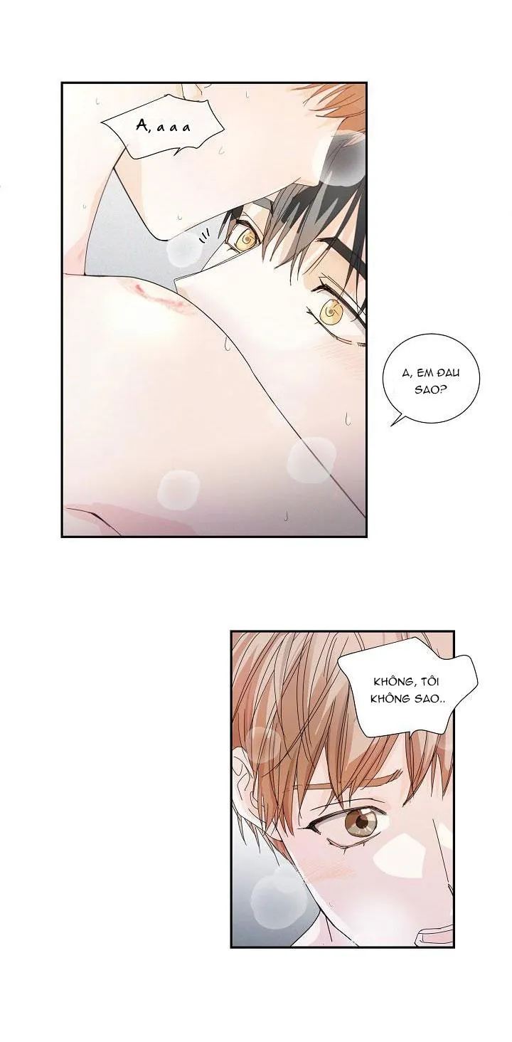 MÁU CỦA TÔI KHÔNG ĐƯỢC ĐÂU Chapter 12 Trang 23