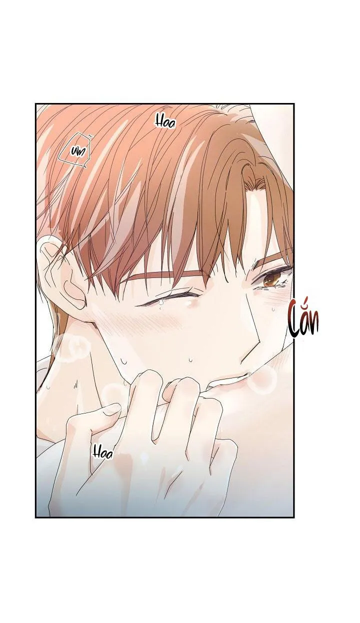 MÁU CỦA TÔI KHÔNG ĐƯỢC ĐÂU Chapter 12 Trang 27