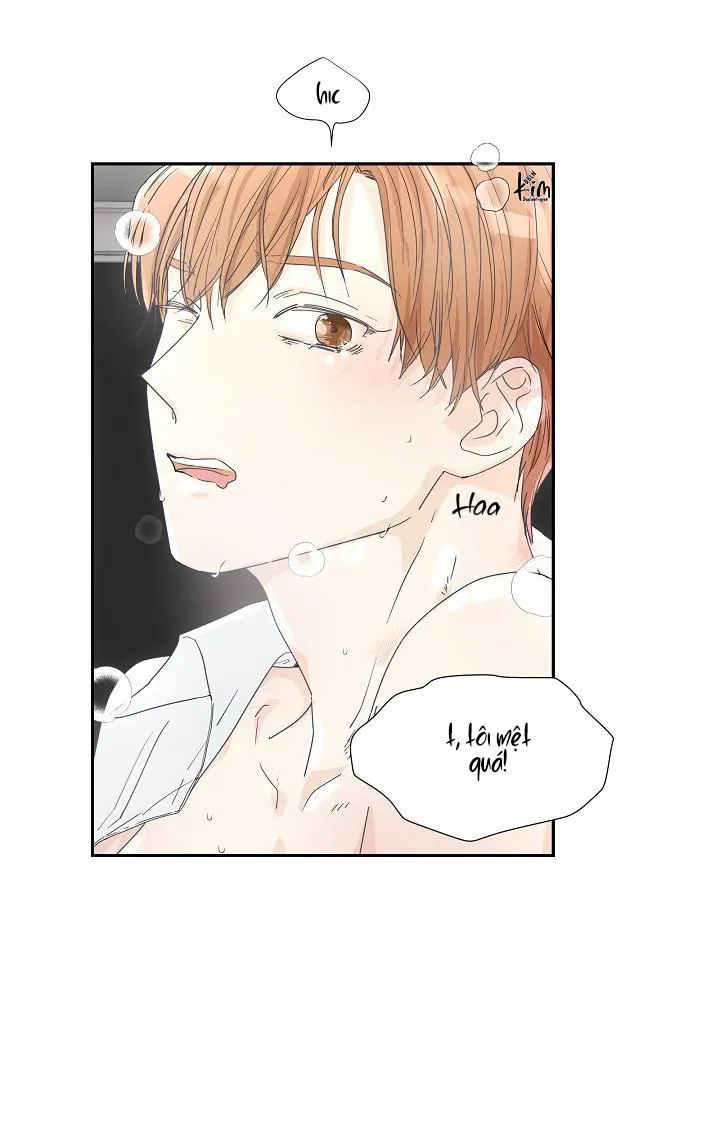 MÁU CỦA TÔI KHÔNG ĐƯỢC ĐÂU Chapter 16 Trang 41