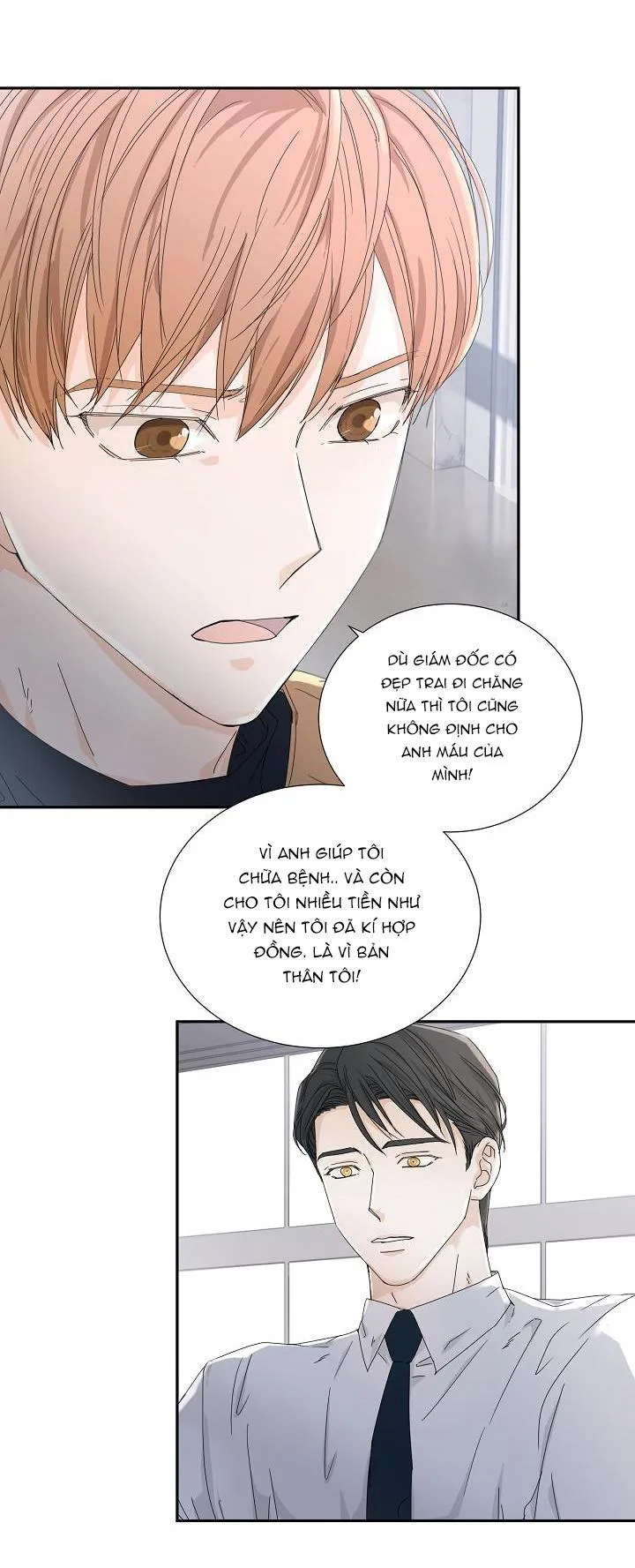 MÁU CỦA TÔI KHÔNG ĐƯỢC ĐÂU Chapter 19 Trang 31