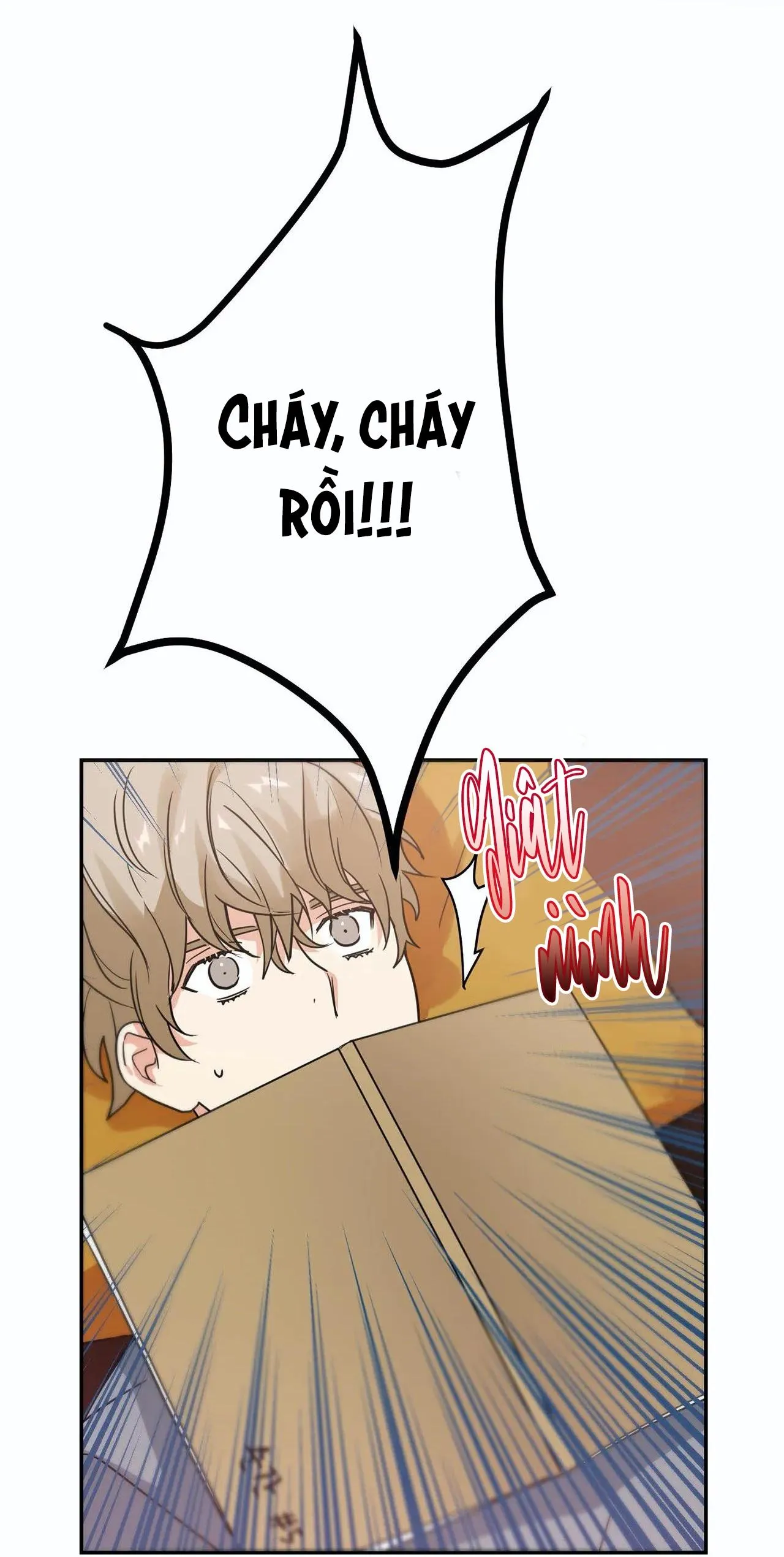 Mâu thuẫn và tương phản Chapter 11 Trang 52