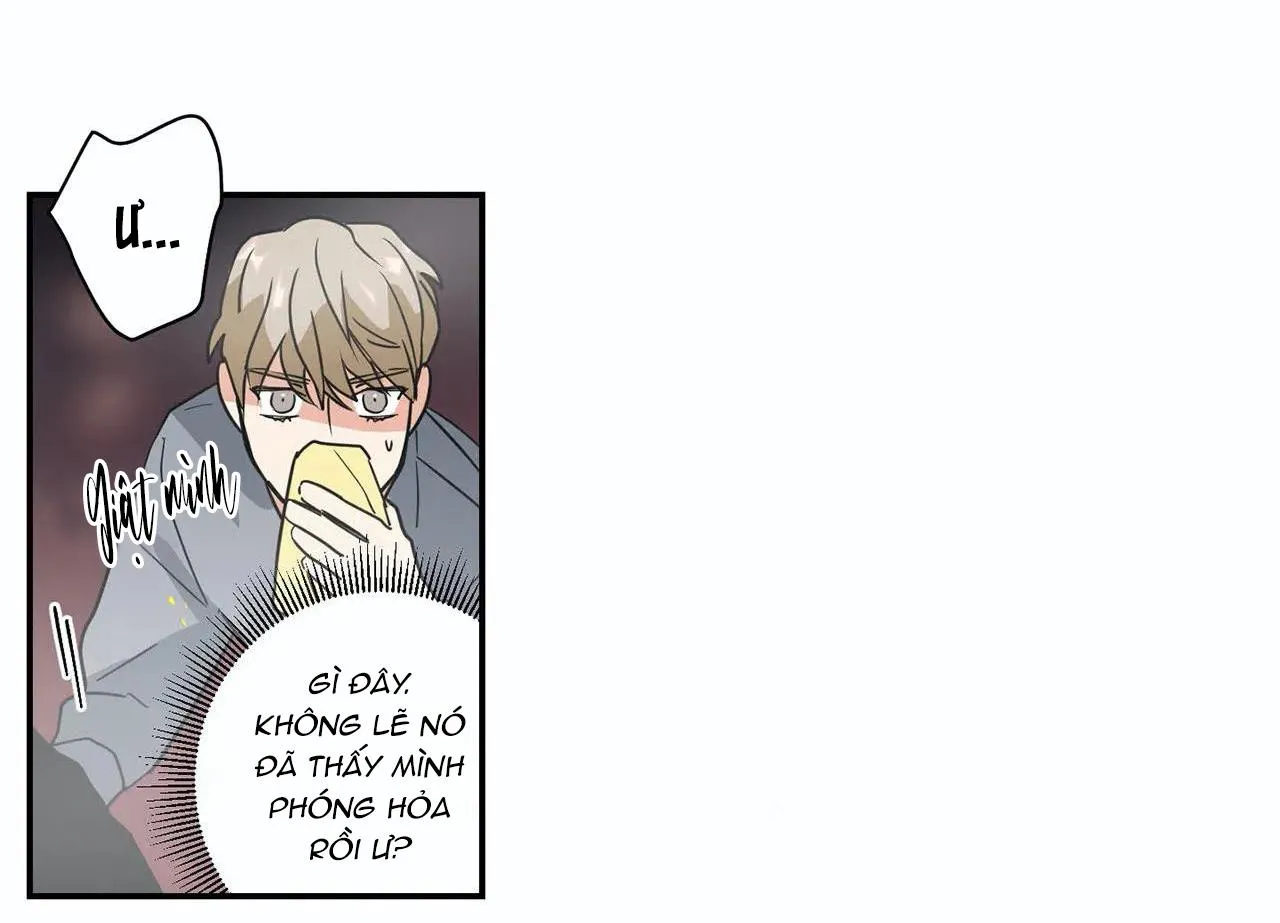 Mâu thuẫn và tương phản Chapter 11 Trang 72