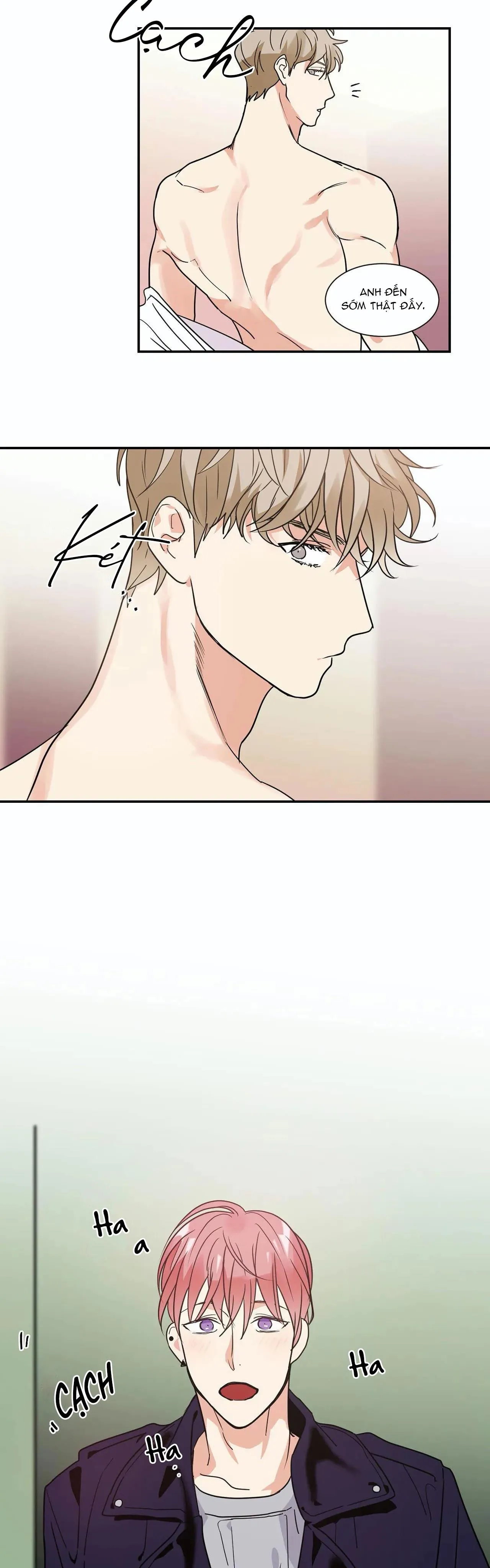 Mâu thuẫn và tương phản Chapter 13 Trang 15