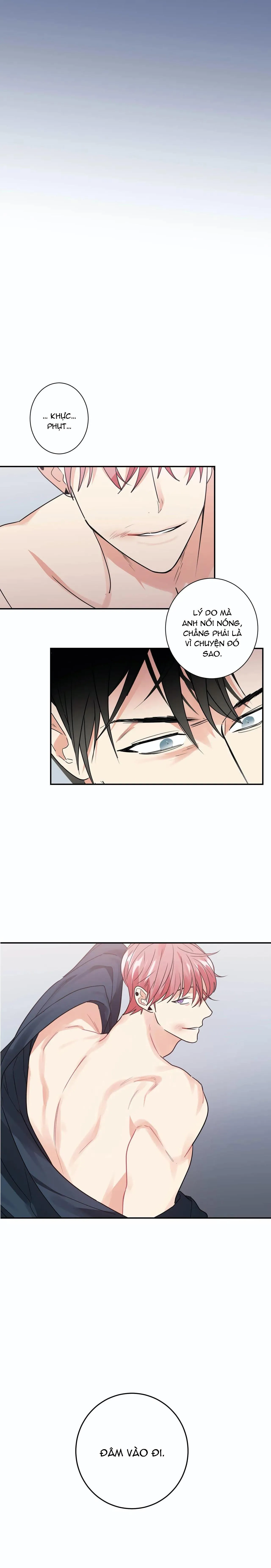 Mâu thuẫn và tương phản Chapter 18 Trang 4