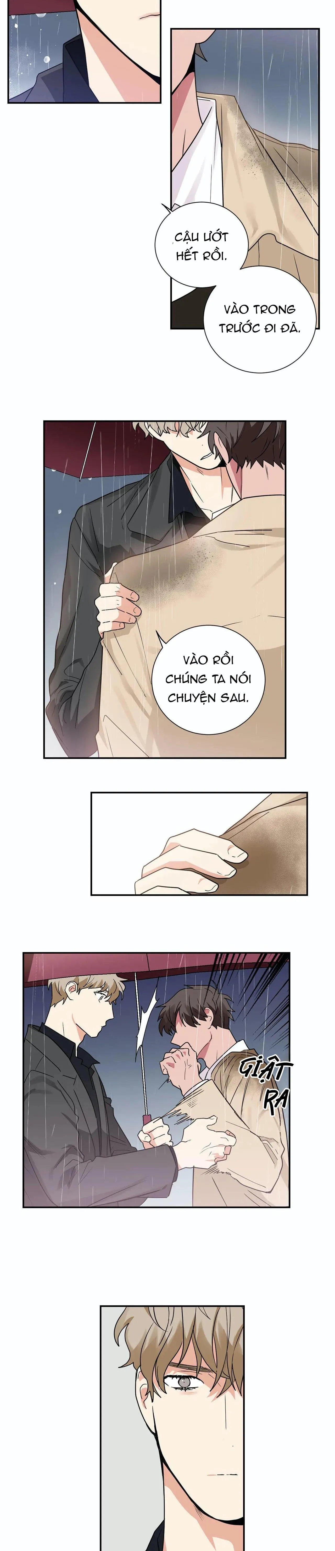 Mâu thuẫn và tương phản Chapter 20 Trang 11