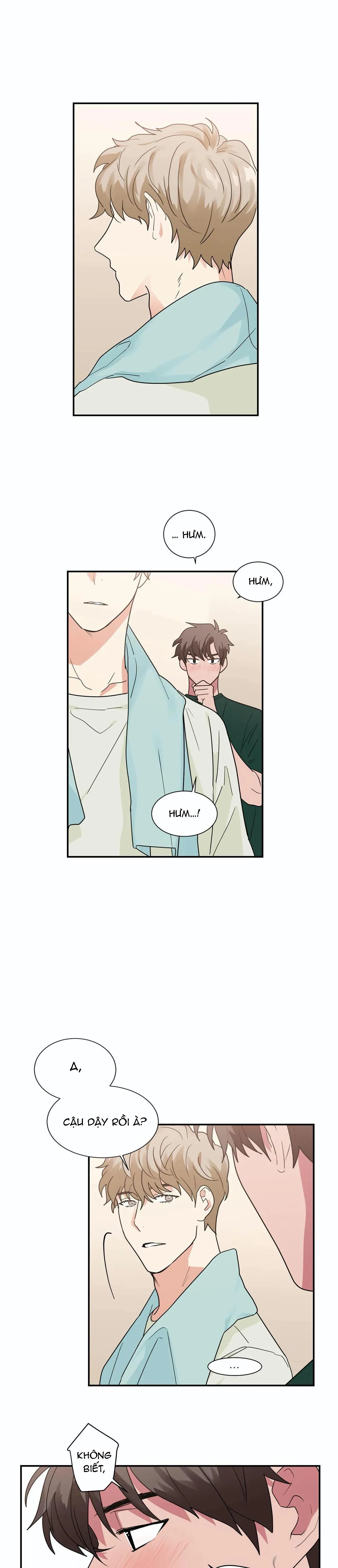 Mâu thuẫn và tương phản Chapter 25 Trang 16