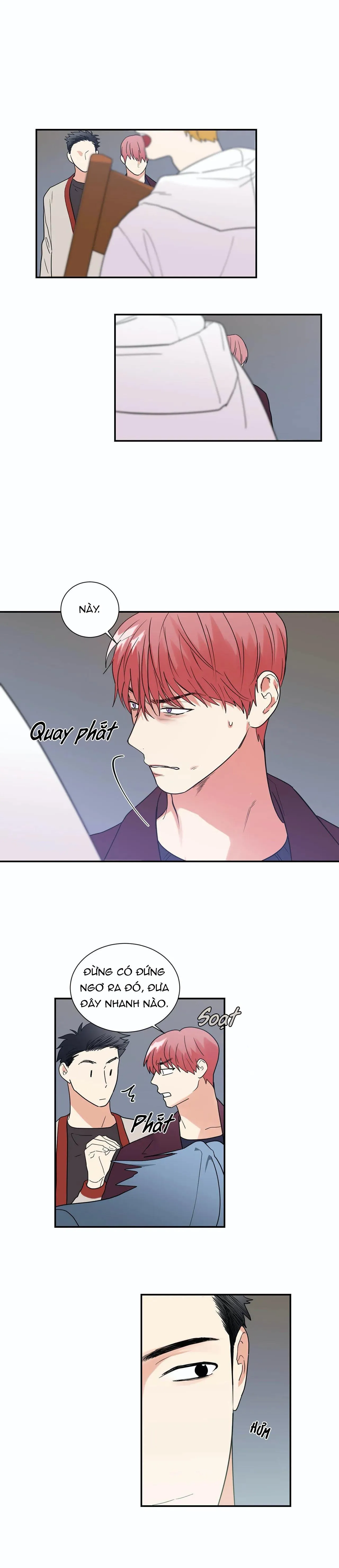 Mâu thuẫn và tương phản Chapter 31 Trang 4