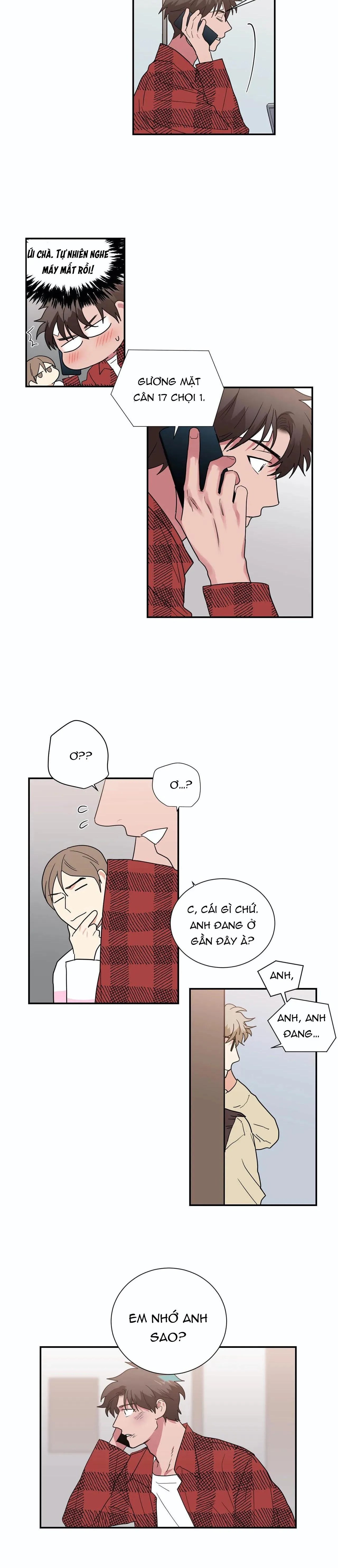 Mâu thuẫn và tương phản Chapter 31 Trang 15