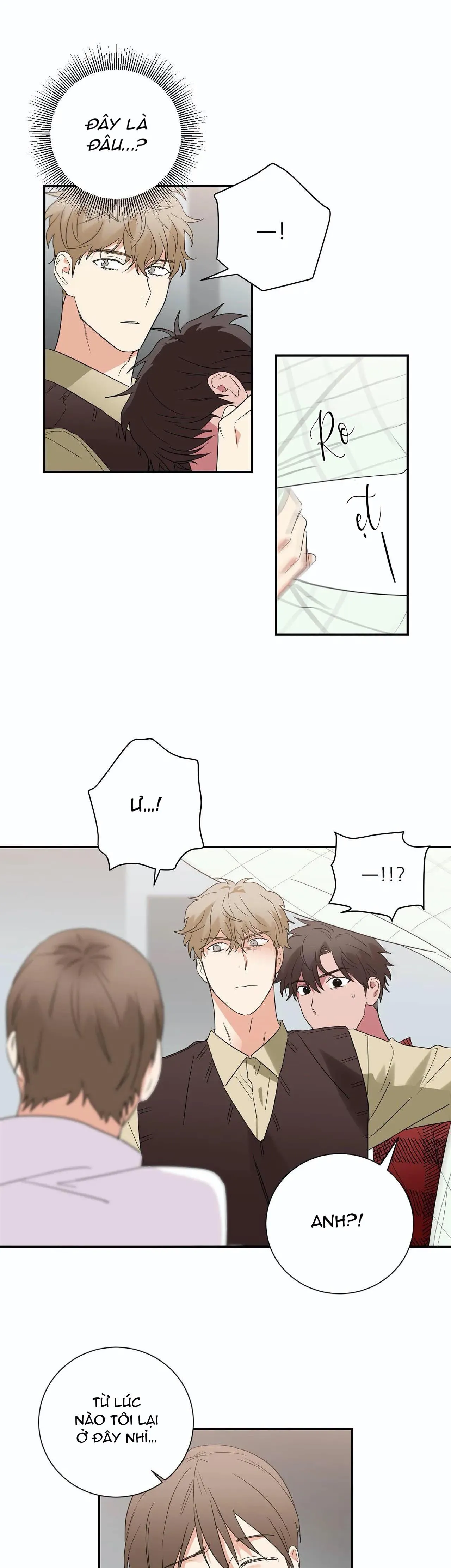 Mâu thuẫn và tương phản Chapter 33 Trang 19