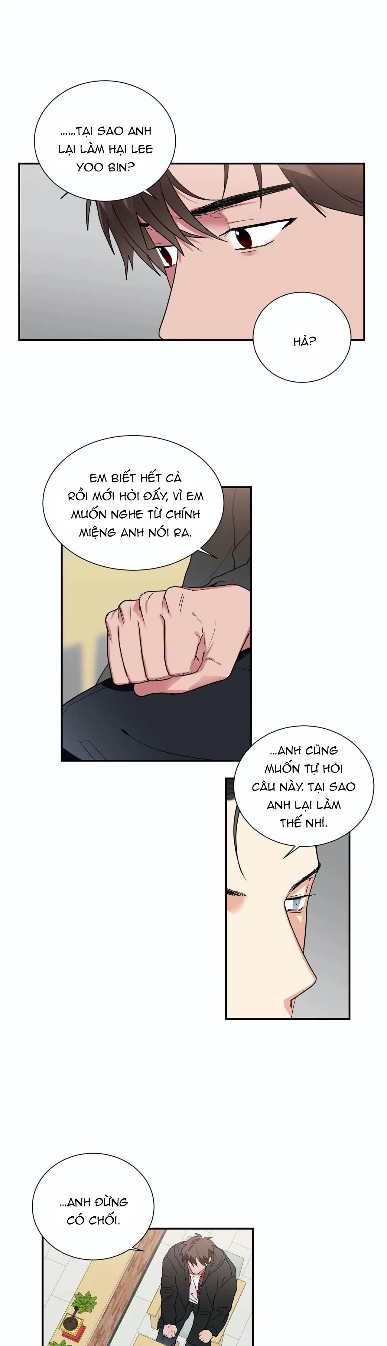 Mâu thuẫn và tương phản Chapter 36 Trang 5