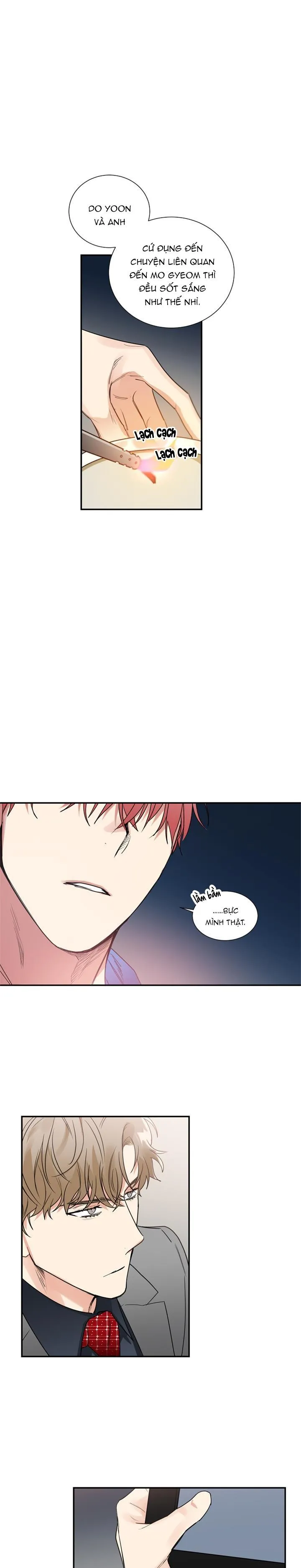 Mâu thuẫn và tương phản Chapter 40 Trang 5