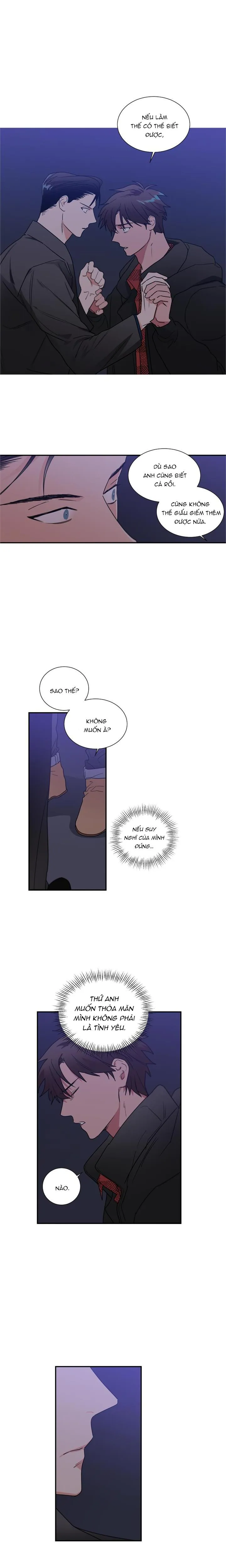 Mâu thuẫn và tương phản Chapter 41 Trang 4