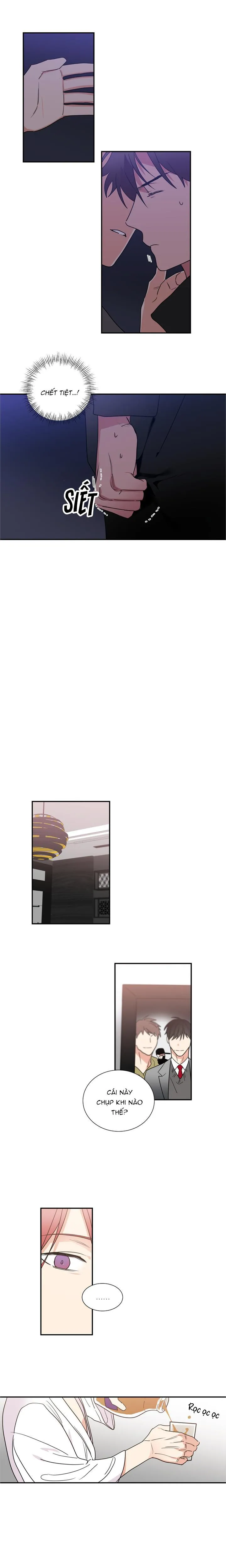Mâu thuẫn và tương phản Chapter 41 Trang 5