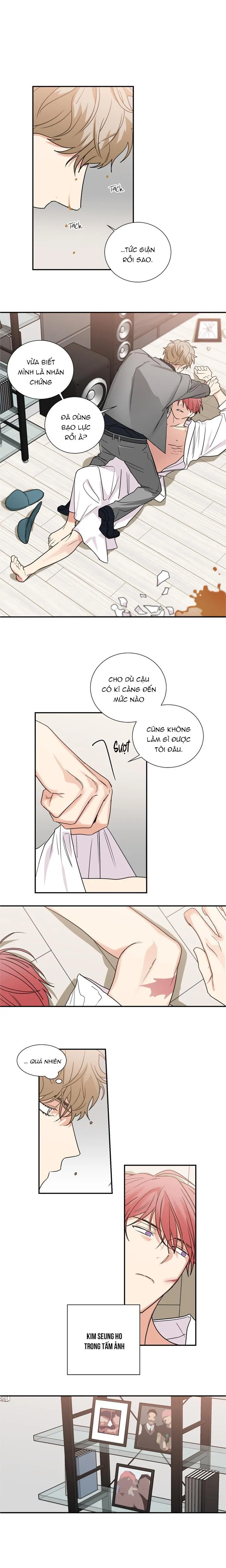 Mâu thuẫn và tương phản Chapter 41 Trang 8