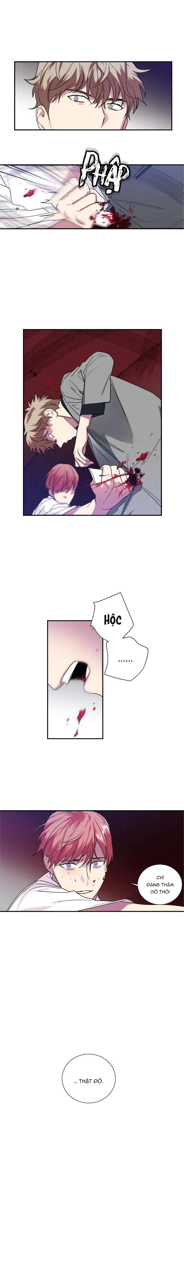 Mâu thuẫn và tương phản Chapter 41 Trang 10