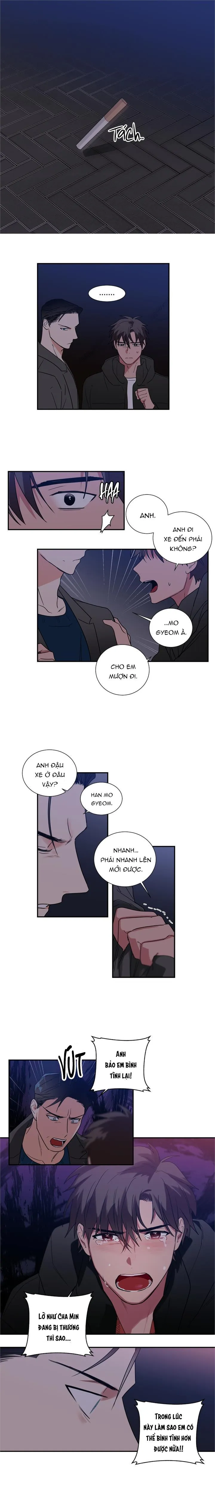 Mâu thuẫn và tương phản Chapter 42 Trang 4