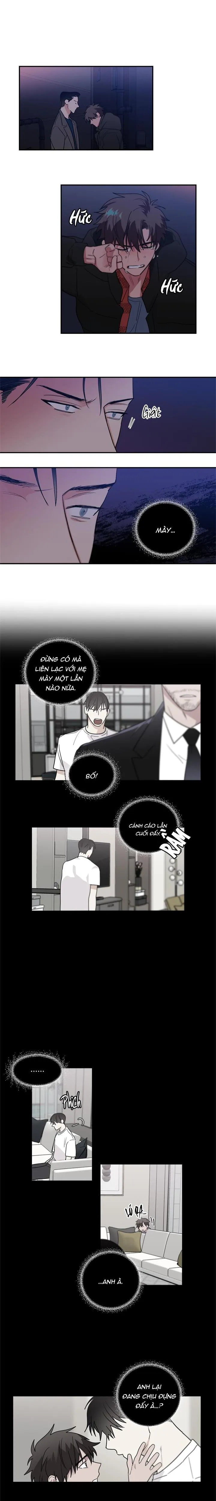 Mâu thuẫn và tương phản Chapter 42 Trang 5