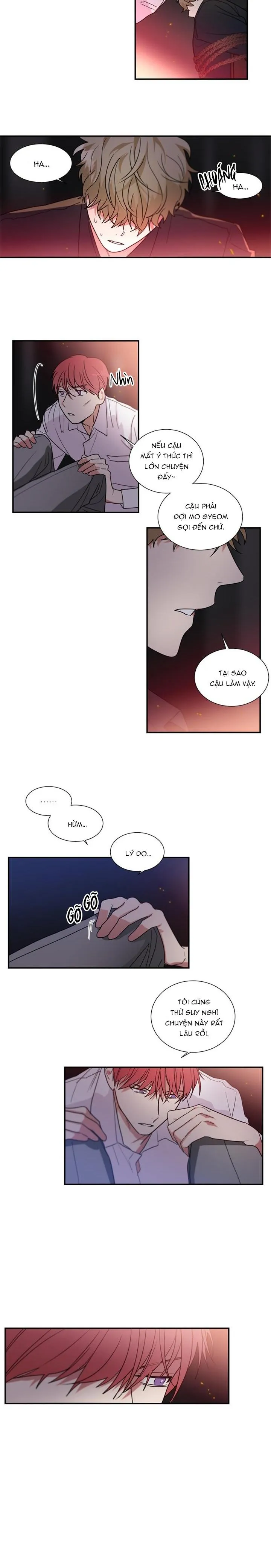 Mâu thuẫn và tương phản Chapter 42 Trang 9