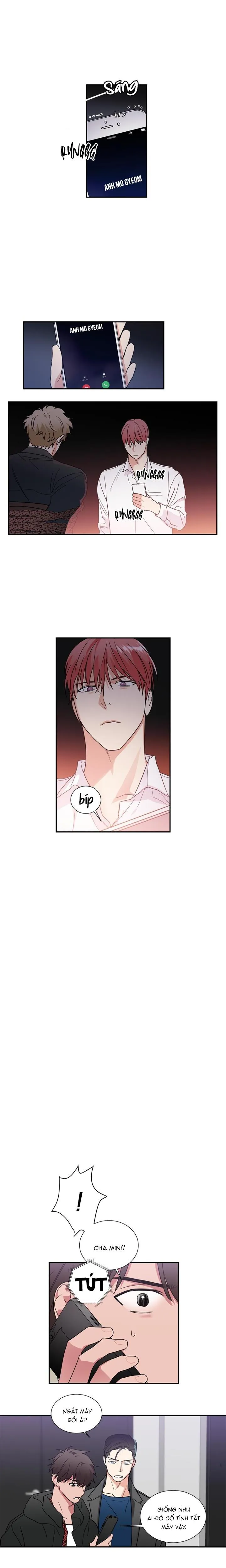 Mâu thuẫn và tương phản Chapter 43 Trang 5