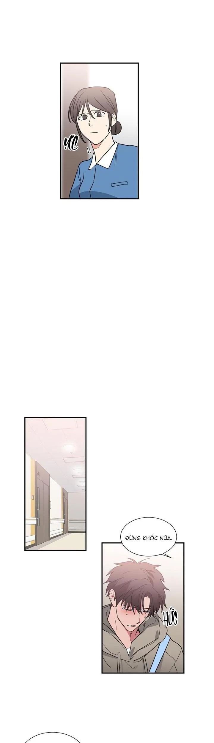 Mâu thuẫn và tương phản Chapter 48 Trang 3