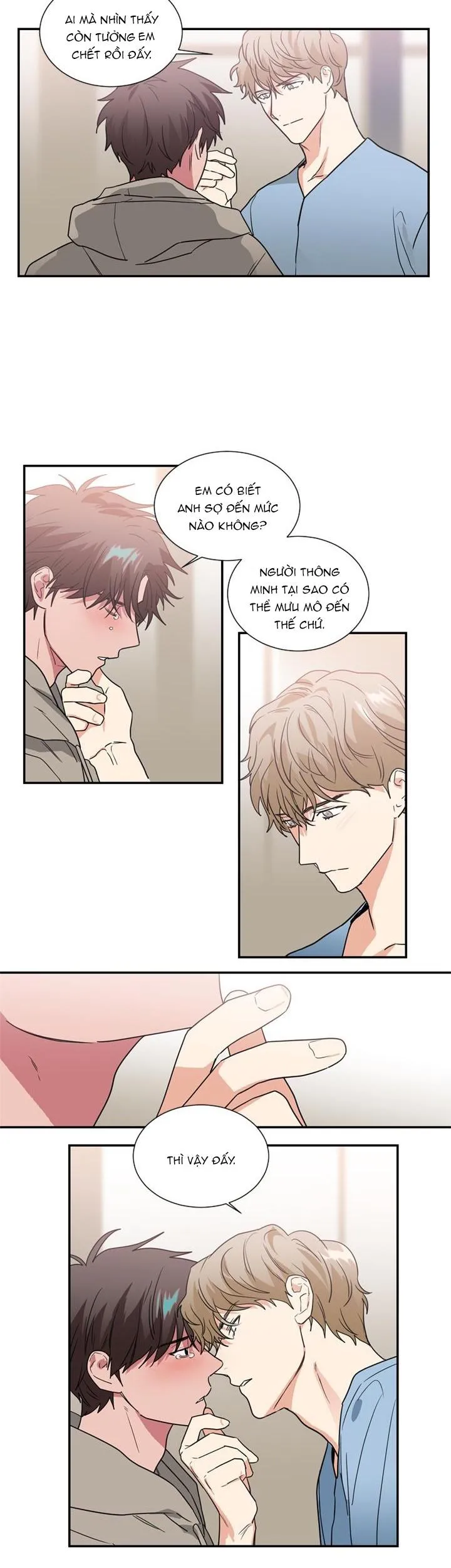 Mâu thuẫn và tương phản Chapter 48 Trang 4