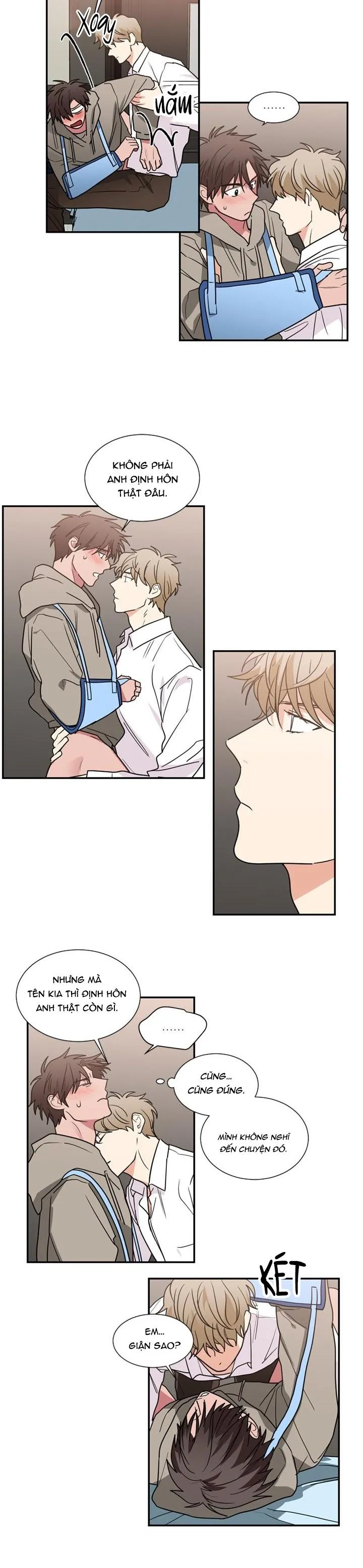 Mâu thuẫn và tương phản Chapter 50 Trang 4