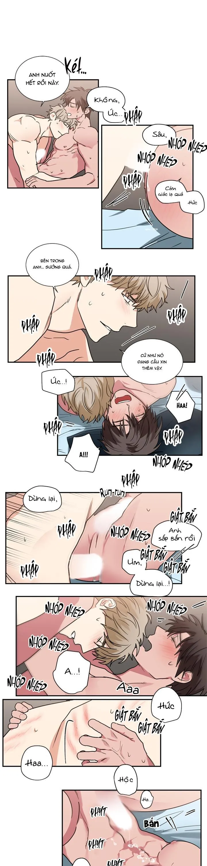 Mâu thuẫn và tương phản Chapter 50 Trang 9