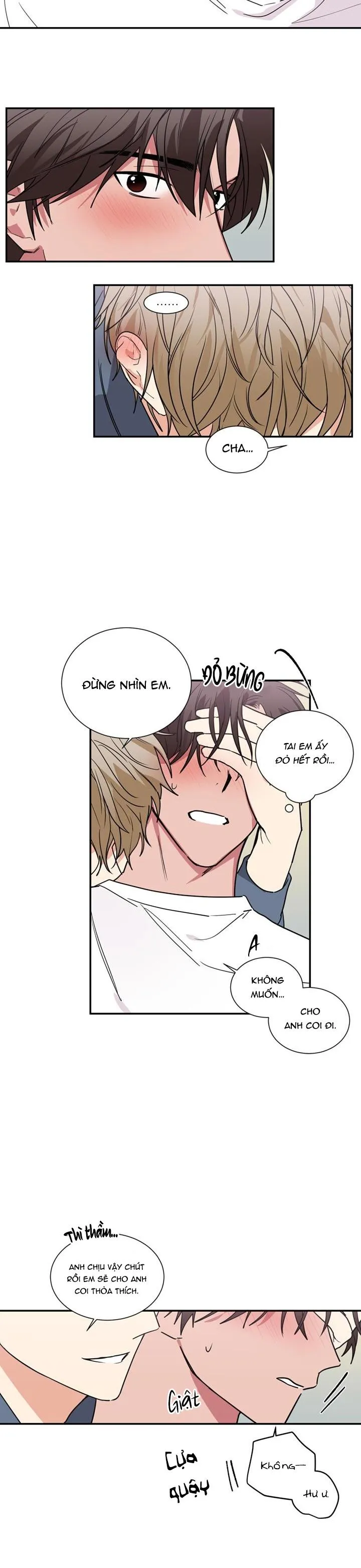 Mâu thuẫn và tương phản Chapter 51 Trang 15