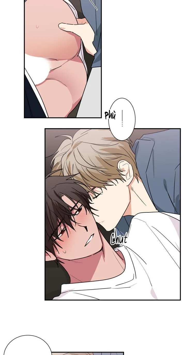 Mâu thuẫn và tương phản Chapter 51 Trang 17