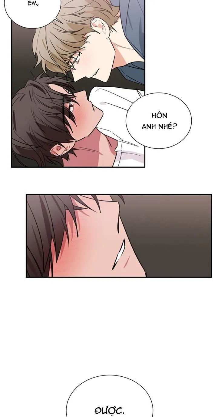 Mâu thuẫn và tương phản Chapter 51 Trang 18