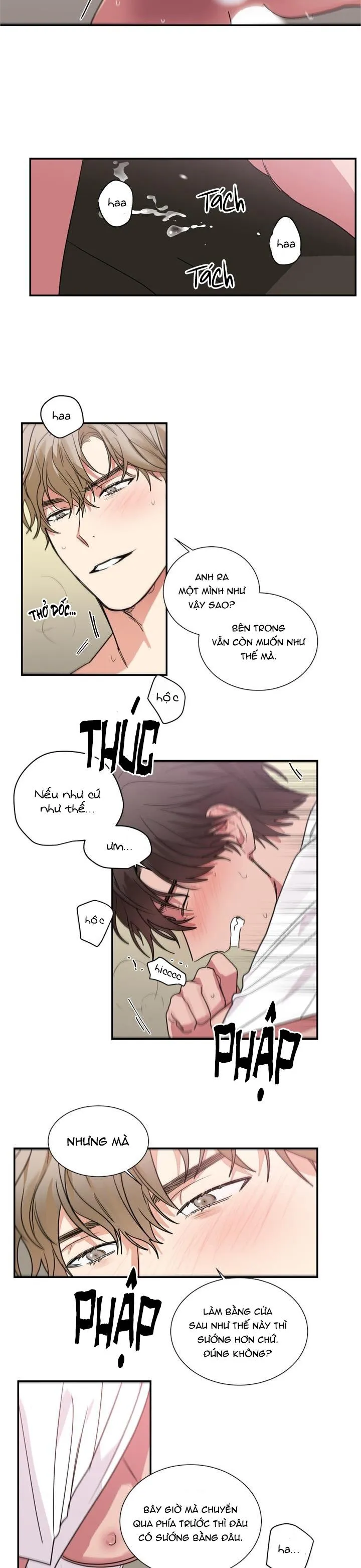 Mâu thuẫn và tương phản Chapter 52 Trang 4