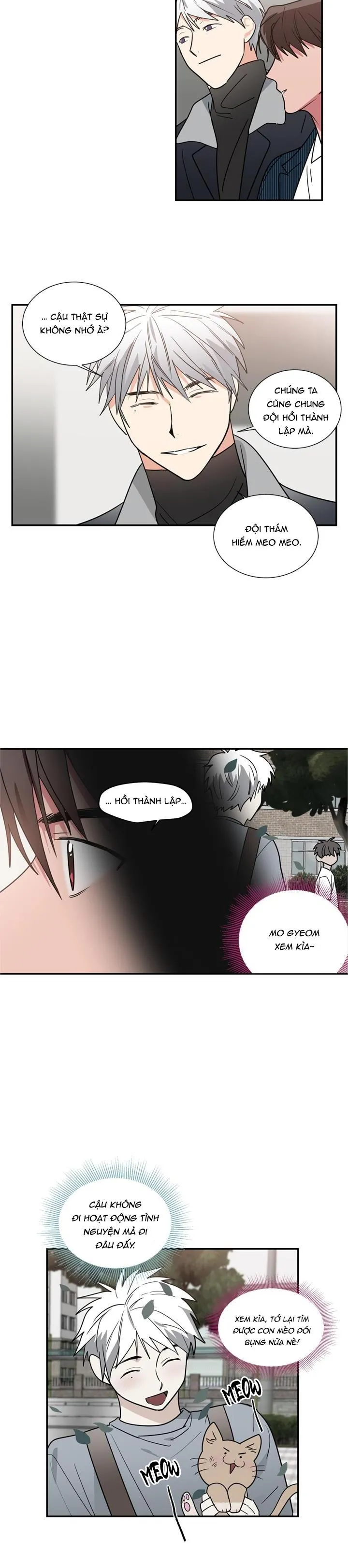 Mâu thuẫn và tương phản Chapter 53 Trang 16