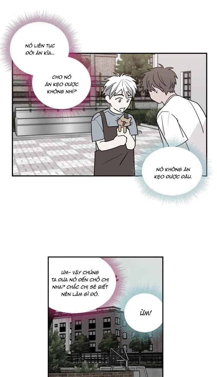 Mâu thuẫn và tương phản Chapter 53 Trang 17