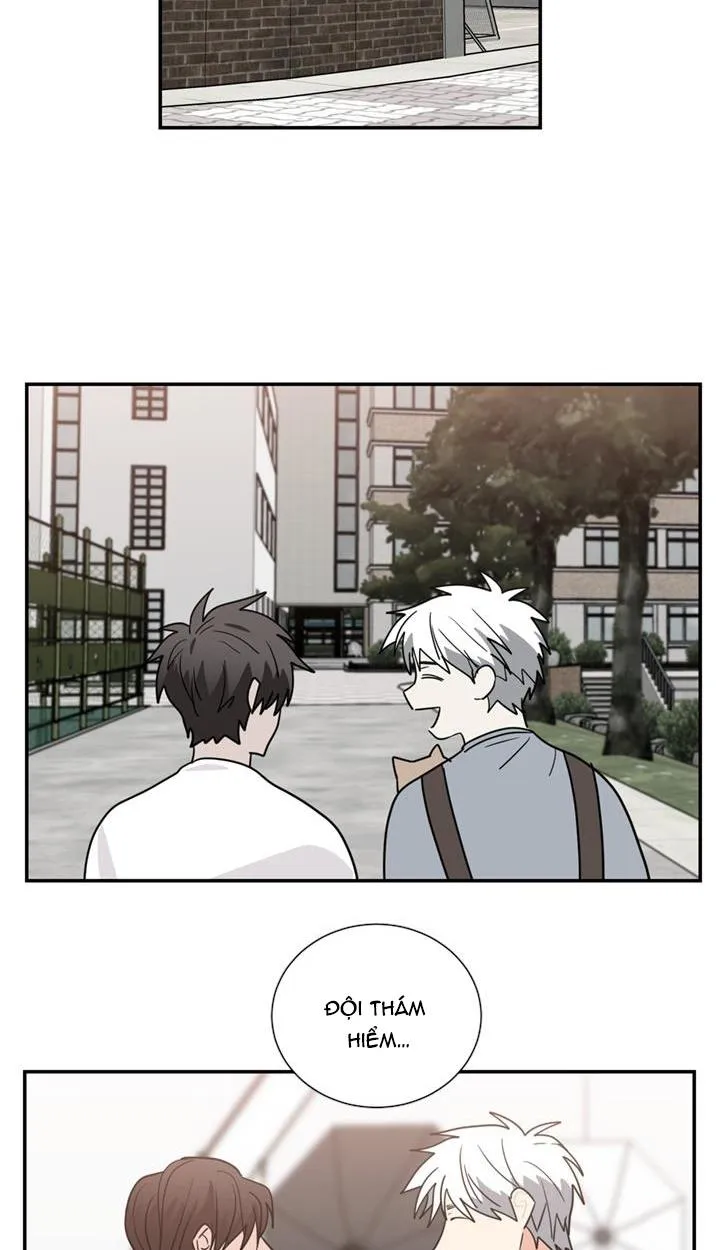 Mâu thuẫn và tương phản Chapter 53 Trang 18