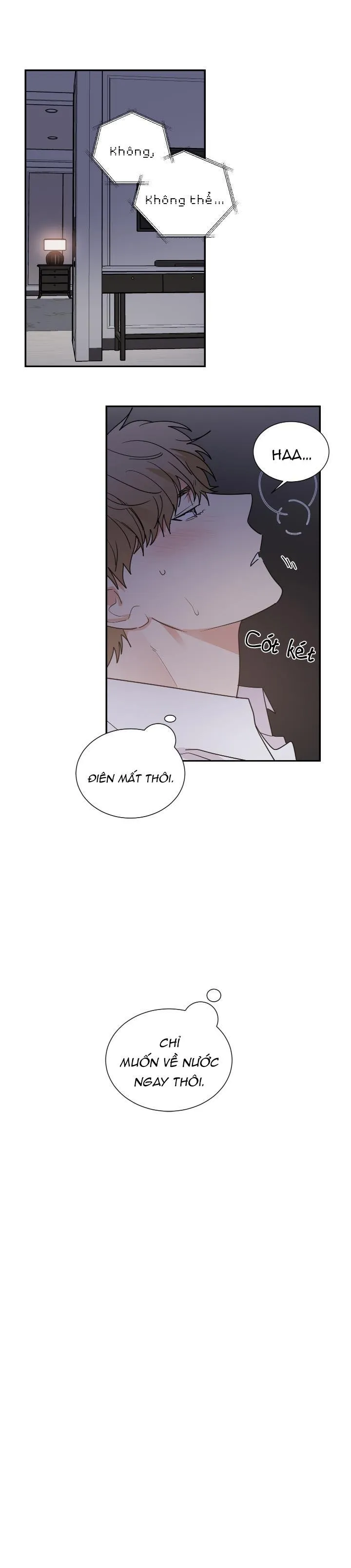 Mâu thuẫn và tương phản Chapter 55 Trang 21