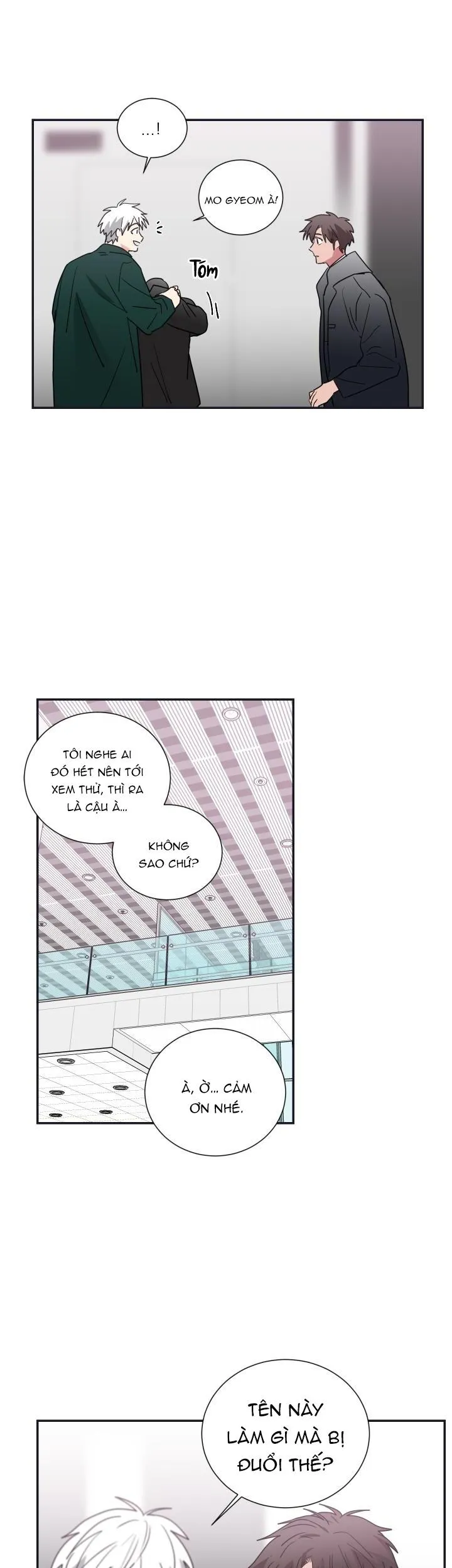 Mâu thuẫn và tương phản Chapter 56 Trang 15