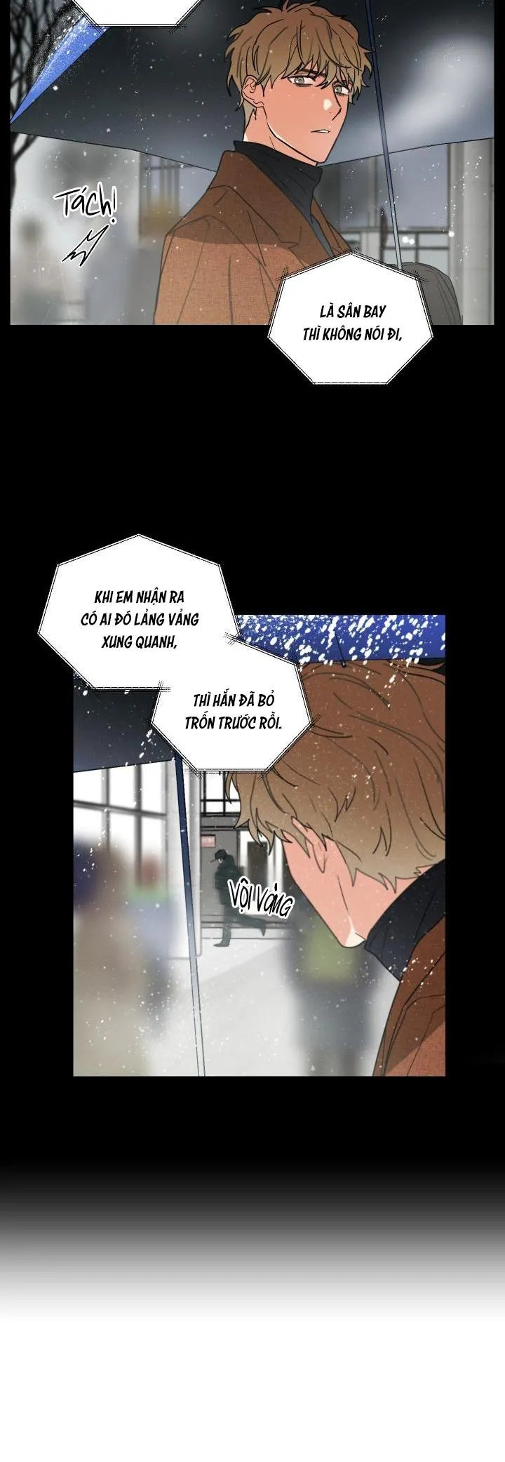 Mâu thuẫn và tương phản Chapter 57 Trang 12