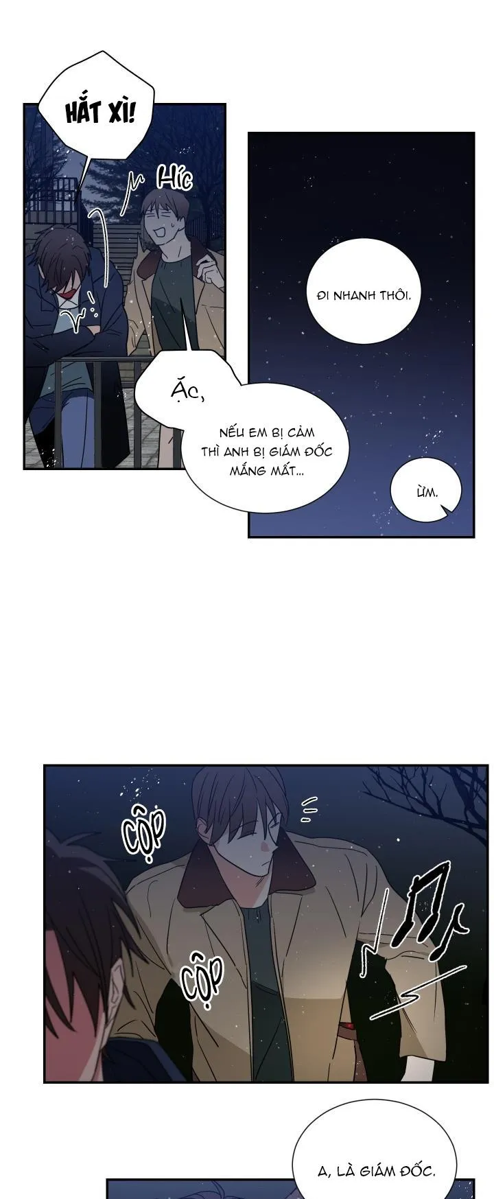 Mâu thuẫn và tương phản Chapter 58 Trang 13