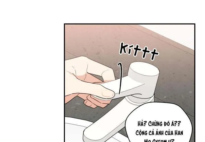 Mâu thuẫn và tương phản Chapter 59 Trang 51