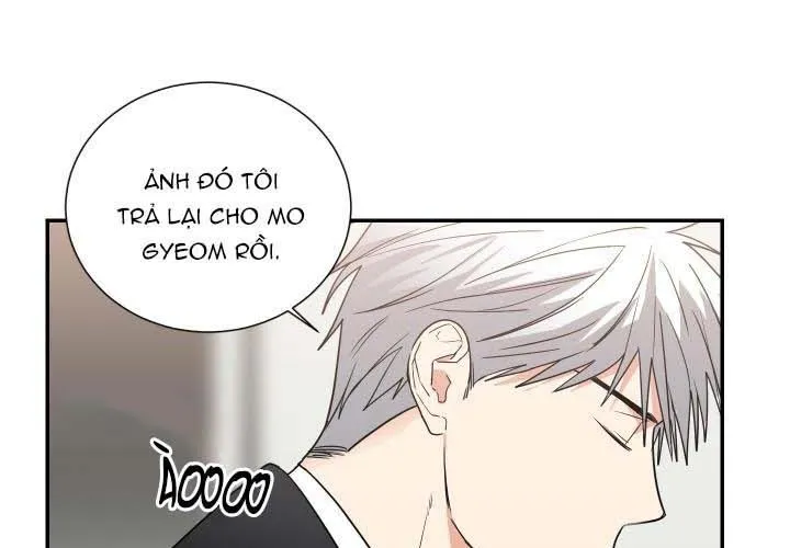 Mâu thuẫn và tương phản Chapter 59 Trang 53