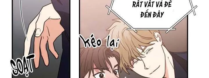 Mâu thuẫn và tương phản Chapter 60 Trang 135