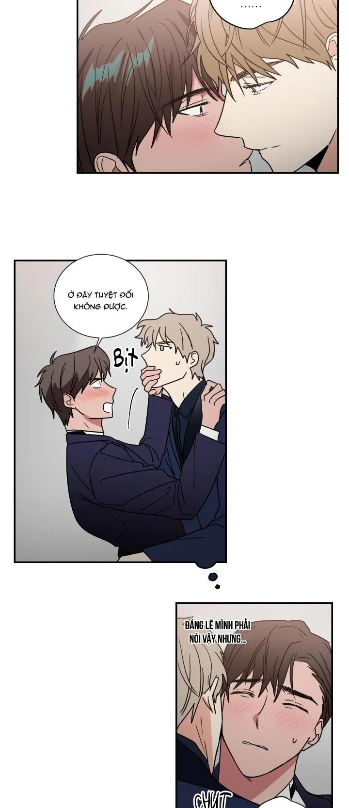 Mâu thuẫn và tương phản Chapter 62 Trang 22