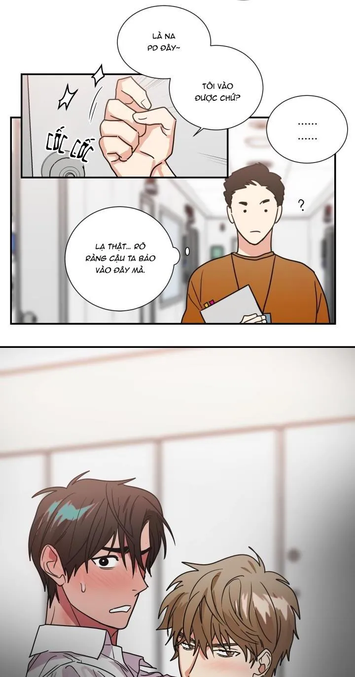 Mâu thuẫn và tương phản Chapter 63 Trang 15