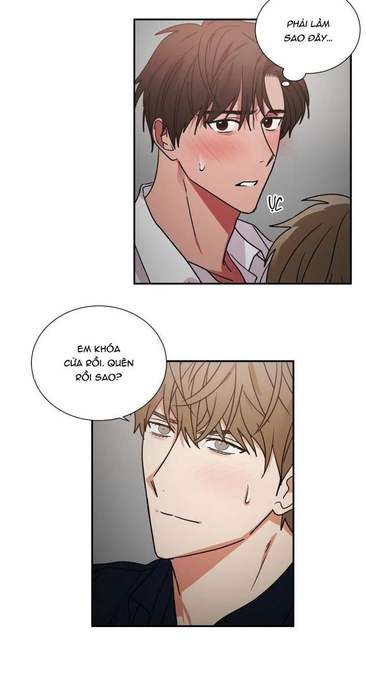 Mâu thuẫn và tương phản Chapter 64 Trang 3