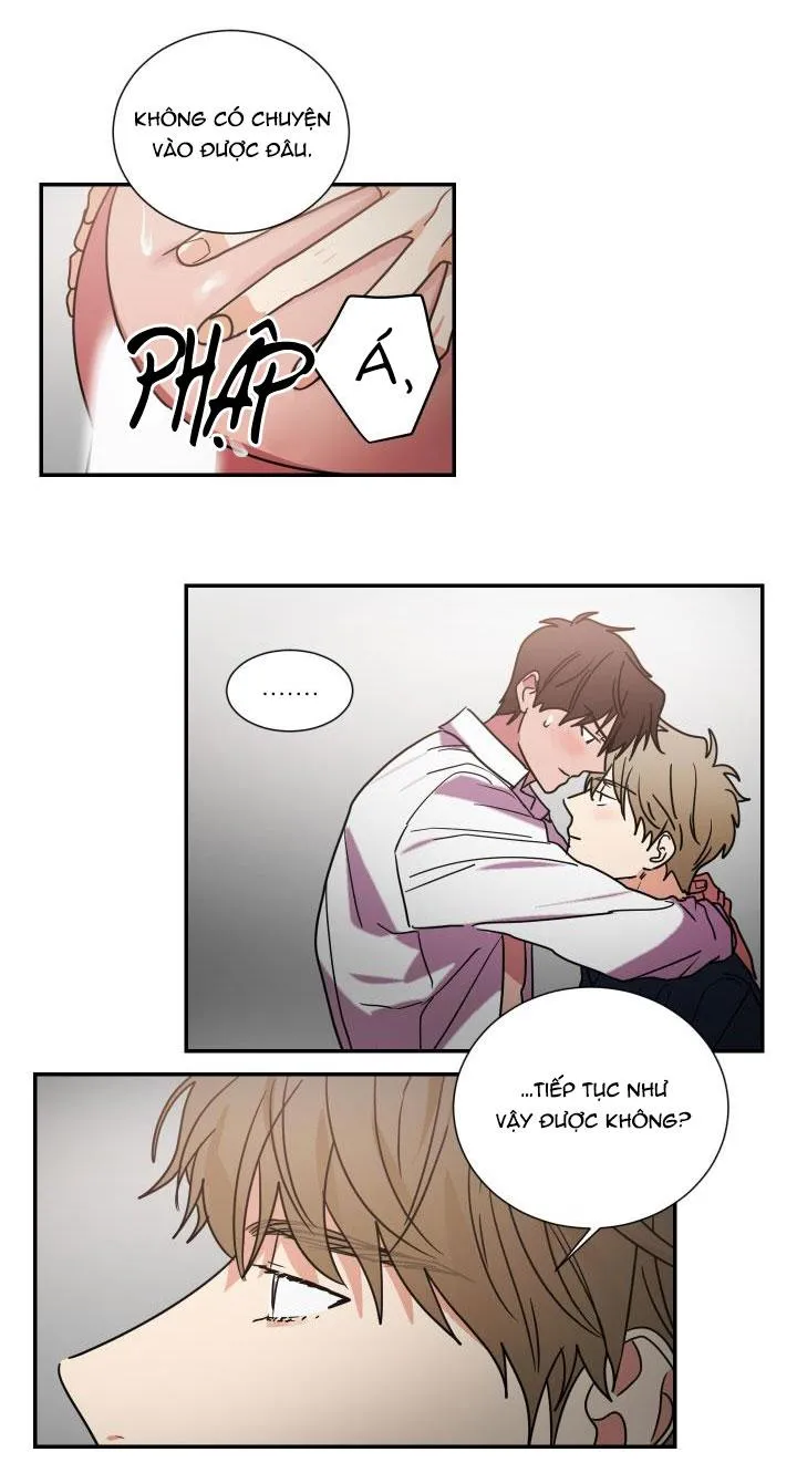 Mâu thuẫn và tương phản Chapter 64 Trang 4