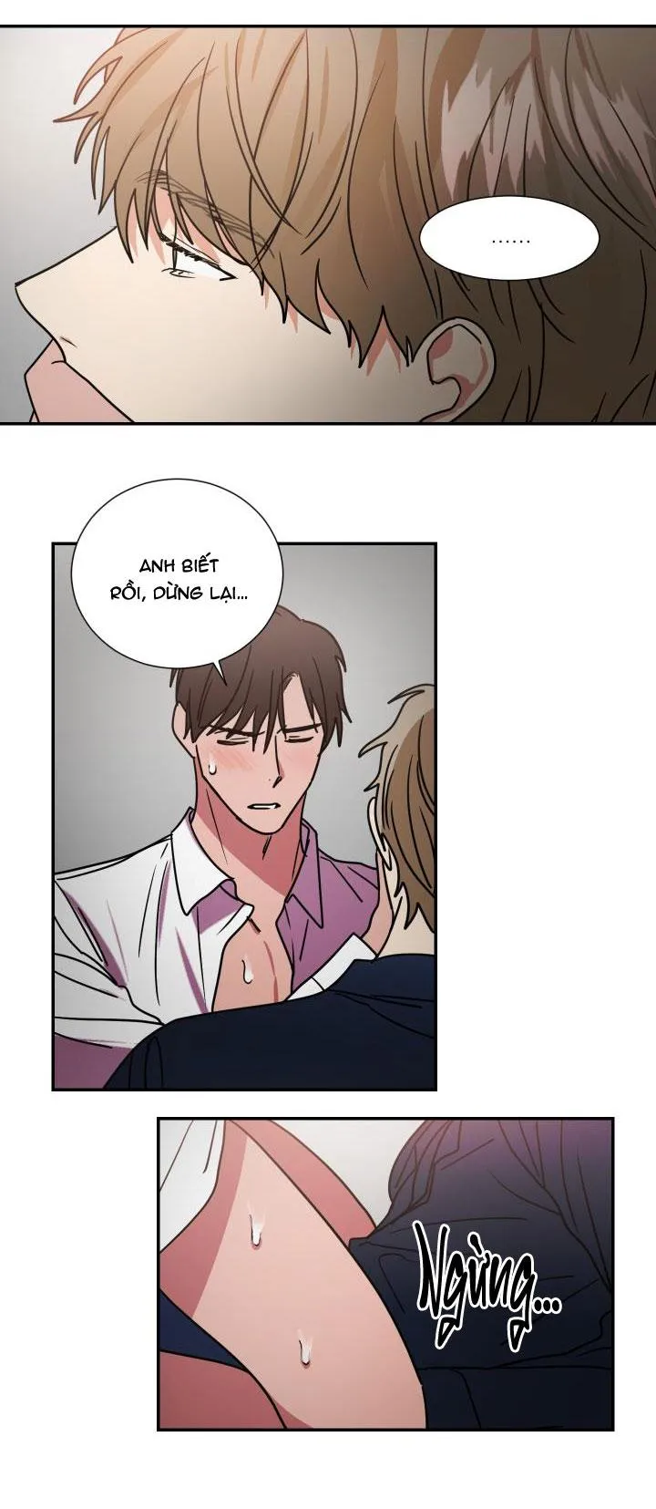 Mâu thuẫn và tương phản Chapter 64 Trang 6