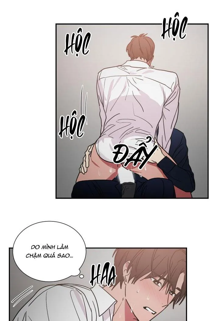 Mâu thuẫn và tương phản Chapter 64 Trang 8